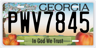 GA license plate PWV7845