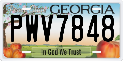 GA license plate PWV7848