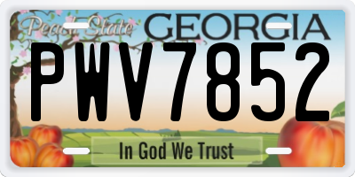 GA license plate PWV7852