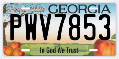 GA license plate PWV7853