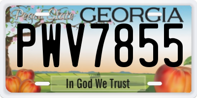 GA license plate PWV7855