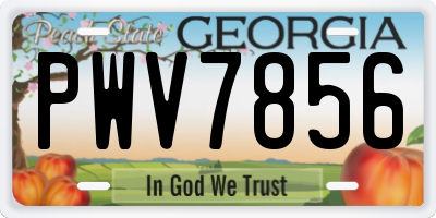 GA license plate PWV7856