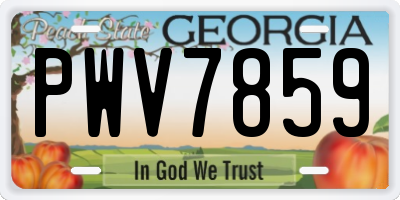 GA license plate PWV7859