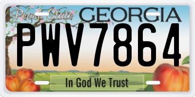 GA license plate PWV7864