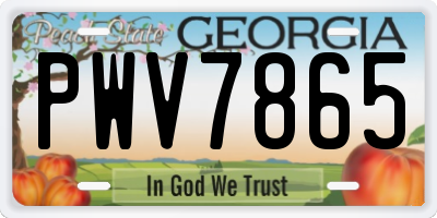 GA license plate PWV7865