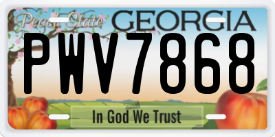 GA license plate PWV7868