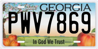 GA license plate PWV7869