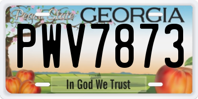 GA license plate PWV7873