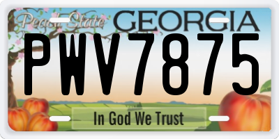 GA license plate PWV7875