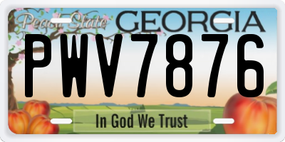 GA license plate PWV7876