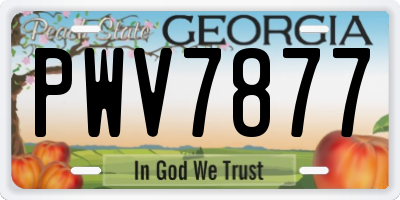 GA license plate PWV7877