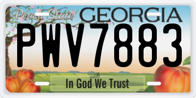 GA license plate PWV7883
