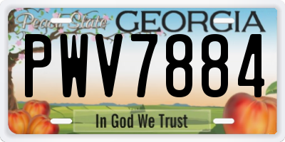 GA license plate PWV7884