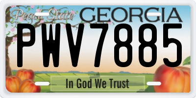 GA license plate PWV7885