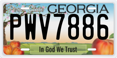 GA license plate PWV7886