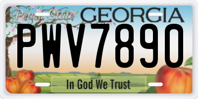 GA license plate PWV7890