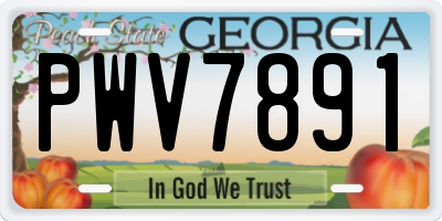 GA license plate PWV7891