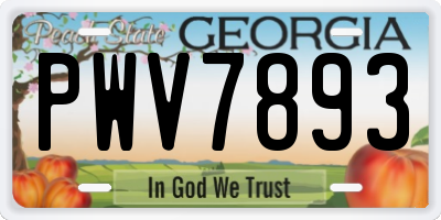 GA license plate PWV7893