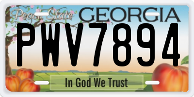 GA license plate PWV7894