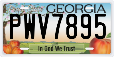GA license plate PWV7895