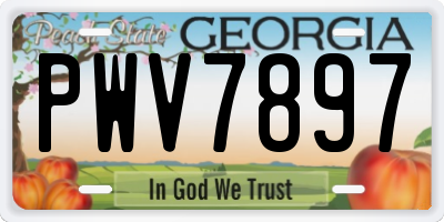 GA license plate PWV7897