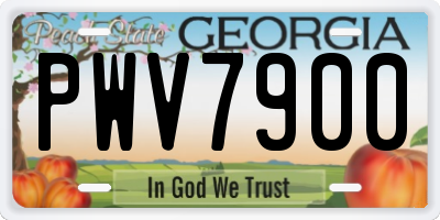 GA license plate PWV7900