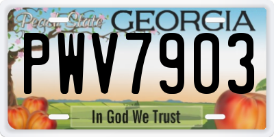 GA license plate PWV7903
