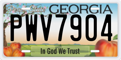 GA license plate PWV7904