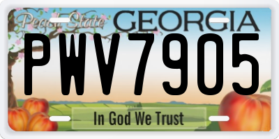 GA license plate PWV7905