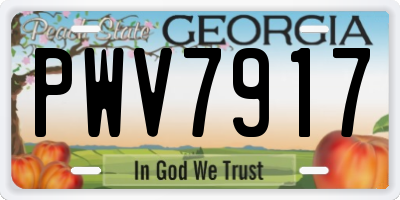 GA license plate PWV7917