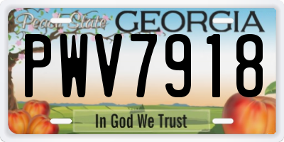 GA license plate PWV7918