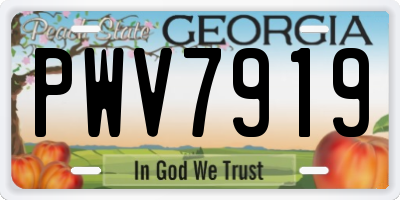 GA license plate PWV7919