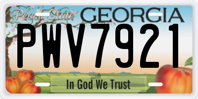 GA license plate PWV7921
