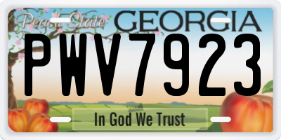 GA license plate PWV7923