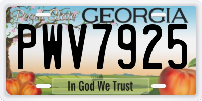 GA license plate PWV7925