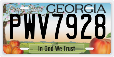 GA license plate PWV7928