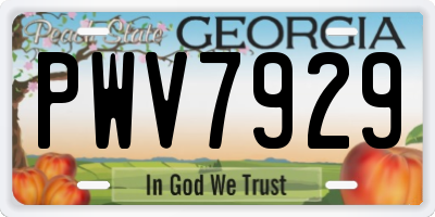 GA license plate PWV7929