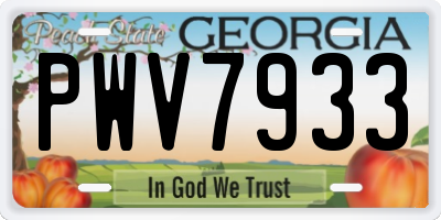 GA license plate PWV7933