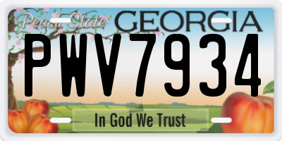 GA license plate PWV7934