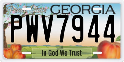GA license plate PWV7944
