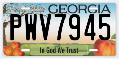 GA license plate PWV7945