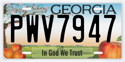 GA license plate PWV7947