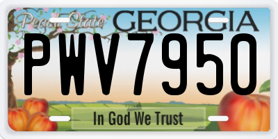 GA license plate PWV7950