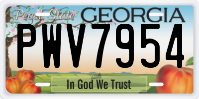 GA license plate PWV7954