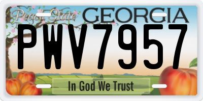 GA license plate PWV7957
