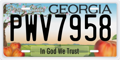 GA license plate PWV7958