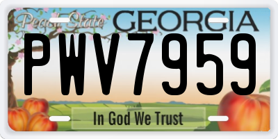 GA license plate PWV7959