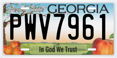 GA license plate PWV7961