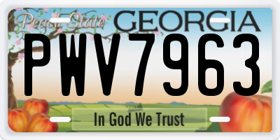 GA license plate PWV7963