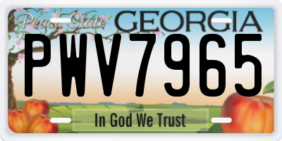 GA license plate PWV7965